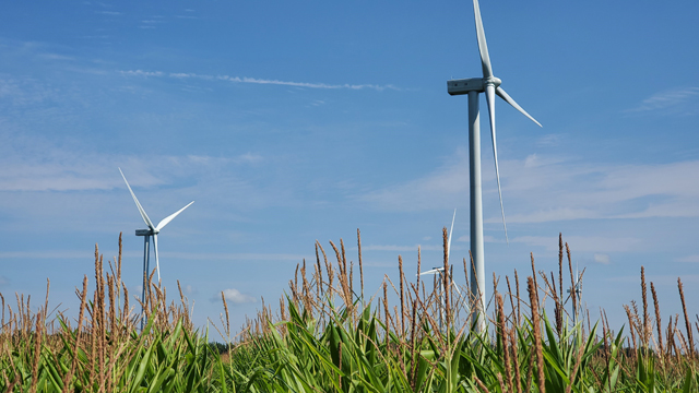 For National Grid 'Net zero know-how' story